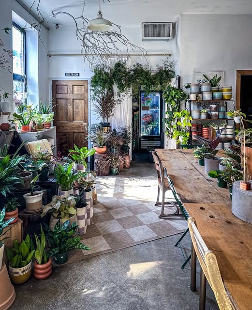 The combined coffee bar and plant shop interior at Stonefruit Espresso + Kitchen